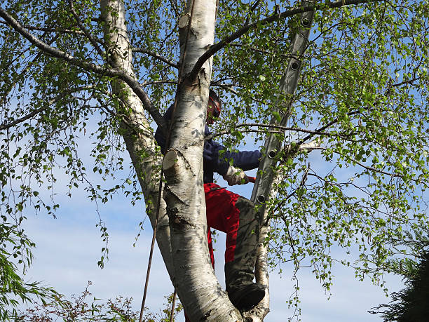 Best Weed Control  in Westhaven Moonstone, CA